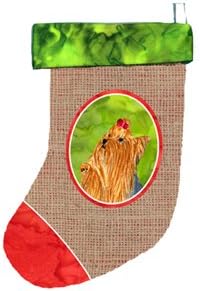 Каролина богатства SS2032-CS Yorkie Chrishion Stocking, 11 x 18, повеќебојни