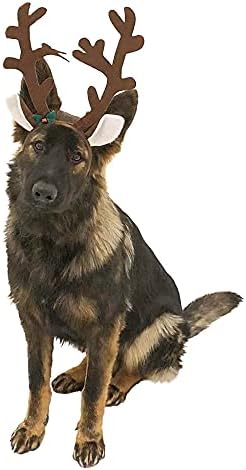 Midlee Brown Rawn Readers antlers andlers headbard со џингл bellвонче- Божиќна костум за домашни миленици