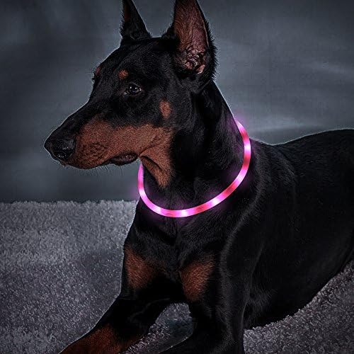 Higo LED светкав јака за кучиња, USB -светкави јаки за миленичиња, силиконски сечење на кучиња јака за кучиња за вашите кучиња кои одат