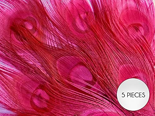 5 Парчиња-Топла Розова Изветвена &засилувач; Обоена Паун Опашка Пердуви За Очи 10-12 Долго Ноќта На Вештерките Занаетчиство Снабдување