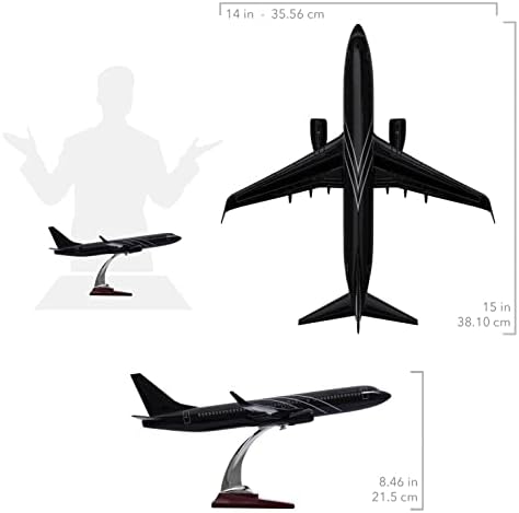 Zekupp Boeing 737-800 1/100 -Black Special Design Model Aircraft