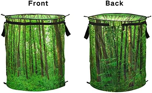 Шумско зелено дрво Поп -дополнете го алиштата за алишта со капакот за складирање на капакот за складирање на капакот за хотел за хотел