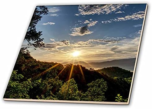 3дроза Сончање природата фотографија во текот На Чад Планини Во Тенеси. - Плочки