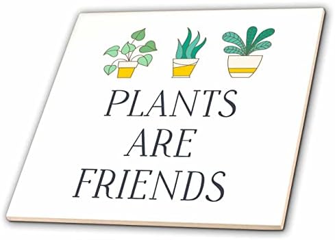 3дроза Евадан - Смешни Изреки-Растенијата Се Пријатели-Плочки