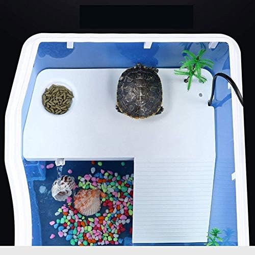 TWDYC желки, резервоари за риби со маса за сушење посветени резервоари за кутија за одгледување желки за домашни миленици