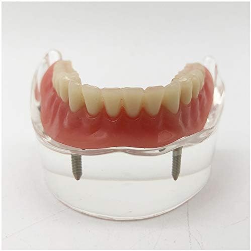 KH66ZKY Студија за заби за заби