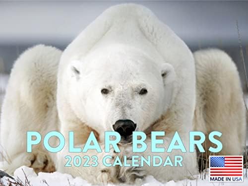 Календар на поларна Мечка 2023 Месечни Календари За Закачување Ѕидови Арктичко Животно Симпатична Северен Пол Снег Мраз Зима Голем