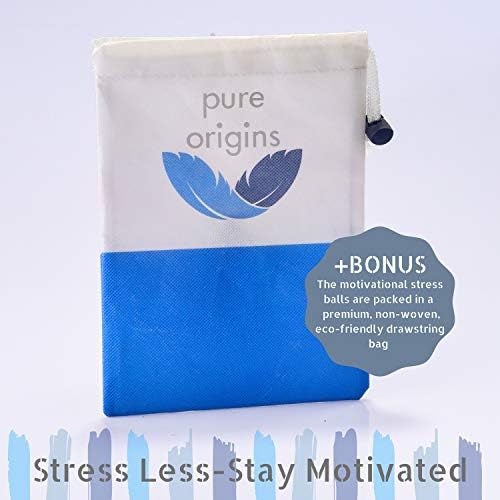 Чисто Потекло | Мотивациони Стрес Топки | Подарок 6-Пакет |Фиџет Додаток За Ослободување Од Стрес, Посебни Потреби, Концентрација, Анксиозност,