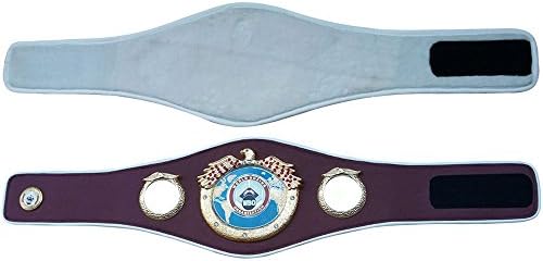 WBO боксерски реплика првенство метални плочи за возрасни врвни квалитетни кожа