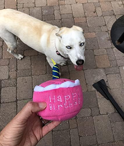 Роденденски играчки за кучиња, роденденски подарок за кучиња, кучиња Прв роденден, роденденски подароци за кучиња, подароци за роденден