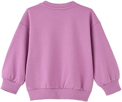 Biniduckling бебе девојче Виножито џемпер за девојчиња кошула со долг ракав 18 месеци-6 години