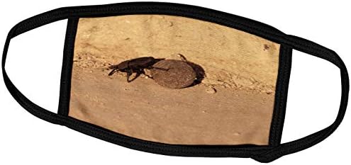 3DROSE DANITA DELIMONT - Инсекти - Африка, Намибија, Etosha NP, Dung Beetle Insect -AF31 WBI0030 - Волтер Бибикоу - Маски за лице