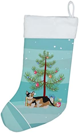 Богатства на Каролина CK4656CS Munchkin Cat Merry Christmas Christmas Christmas Stocking, камин виси чорапи Божиќна сезона забава Декорации