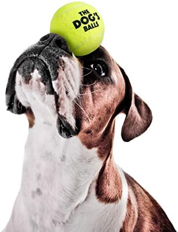 Кучето Топки, Куче Тениски Топки, 12-Пакет Жолта Куче Играчка, Силна Куче &засилувач; Кутре Топката За Обука, Игра, Вежба &засилувач;