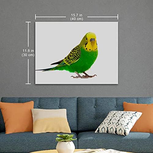 Mapolo Green Budgie Parrot Poster Decorative Painting Canvas Art Poster Wall Art Print Print Modern Gallery Family Spoice Home Decor