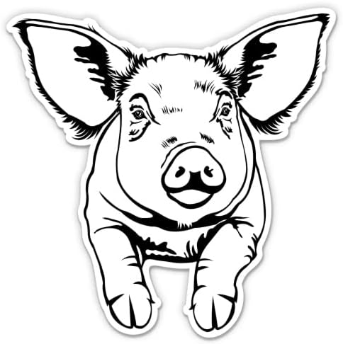 Налепница за свињи - налепница за лаптоп 3 - водоотпорен винил за автомобил, телефон, шише со вода - Деклара за земјоделци од свињи