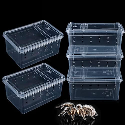 5 Парчиња Пајак Мали Терариуми Кутија За Размножување Проѕирен Сад За Шрафирање Пластична Кутија За Хранење За Мал Рептил Пајак