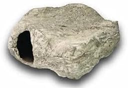 Цихлид камења гигант камен