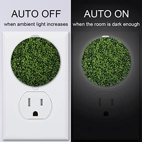 2 приклучок за приклучок за ноќно светло LED ноќно светло Зголемено зелена грмушка со сензор за самракот до до-до-до-до-до-до-до-до-до-до-до-до-до-до-до-зоната