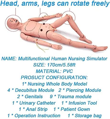 Вештини за медицински сестри во Кеникс, грижа за пациенти, маникин обука CPR симулатор 170см животна големина геријатриски