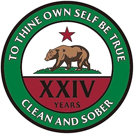 Калифорнија Мечка Обнова Медалјон Години 1-50 Достапни Алкохоличари Анонимни Year Чип Година 24