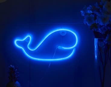 Лед мал кит нова неонска декоративна ноќна светлина