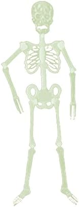 Скелет Декорација Партија Ноќта На Вештерките Прозрачна Човечки Отворено Реквизити ВИСИ Нас Дома Декор Враќање Мајка