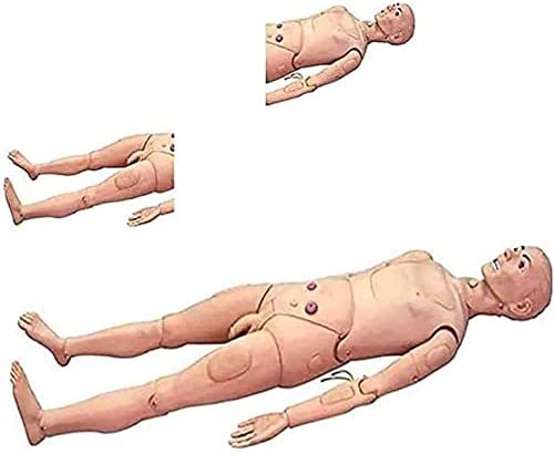 Мултифункционален Симулатор За Нега На Пациенти Обука Маникин Машки И Женски Човечки Анатомски Модел За Обука За Нега Маникин