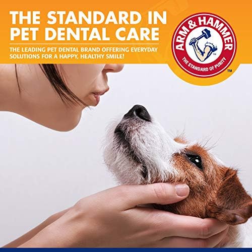 Рака &засилувач; Чекан За Миленичиња Забен Камен Контрола Стоматолошки Комплет За Обука За Кученца | Куче Четка За Заби, паста за заби, &засилувач;