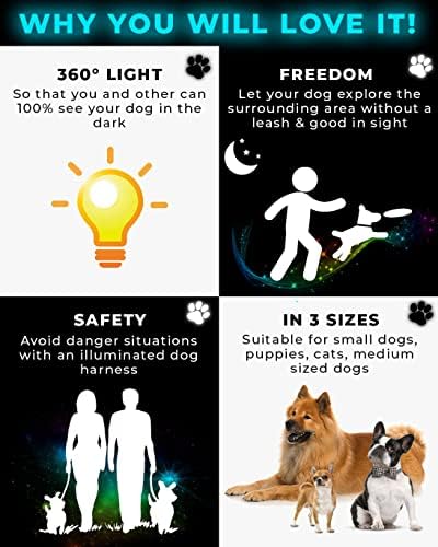 Целосна Површина 360° Осветлена Предводена Ремен За Кучиња Со Поводник | Развиена за Мали Кучиња &засилувач; Кученца | Достапна во