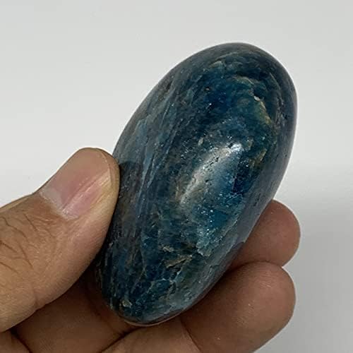 Watangems 119.9g, 2,3 x1.8 x1.1 , синиот апатит палм-камен ја исфрли енергијата на Реики, метафизичкиот камен, од Мадагаскар, Б16377