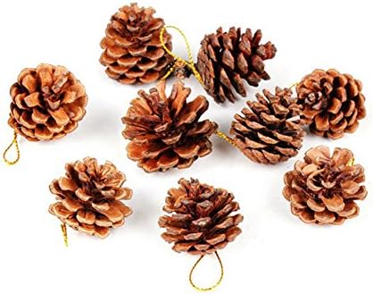 JJ продавница 9 парчиња Божиќно природно бор конус дрво виси украси украси Божиќни забави декор