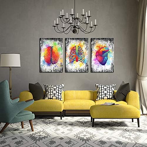 Сечари - 3 парчиња платно wallидна уметност Апстракт човечки мозочен ребро кафез срце сликарство уметнички отпечатоци за медицинска канцеларија