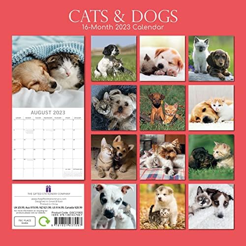 2023 квадратен календар на wallидови, мачки и кучиња, 16-месечна тема на животни со 180 налепници за потсетници