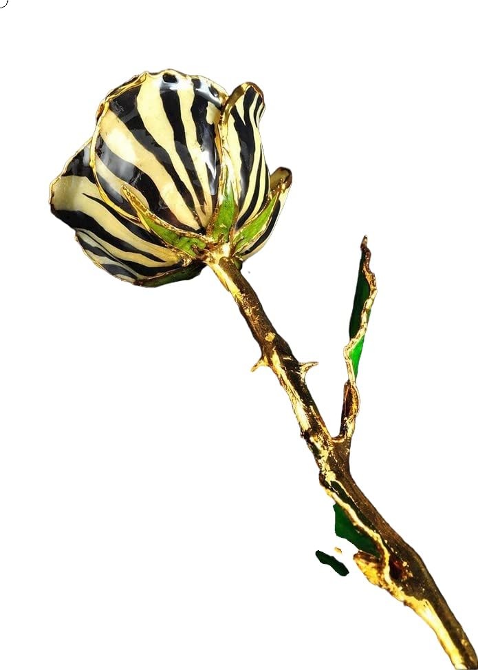 Цветни тематски накит, роза од зебра, бела со црни ленти од зебра, обичај боксер