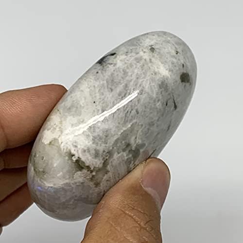 Watangems 134g, 2,6 x1.9 x1.1 , Палм-камен од виножито од месечината, полирана од Индија, Б21211