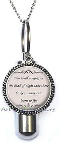 Цитат Урн - Цитати за стихови на црнаберката - Инспиративна музика за кремирање на урдан - Сребрен мотивационен накит подарок за жени и С, РН39