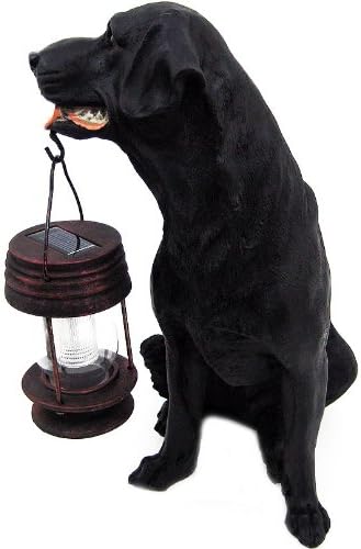 Црно куче Лабрадор со соларна светлина на фенерската градина