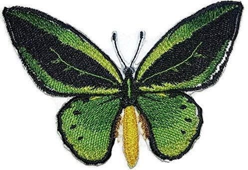 Обични и уникатни неверојатни шарени пеперутки [вообичаено зелено птичји птици] везено железо на/шива лепенка [4,2 x2.673] направено во САД]