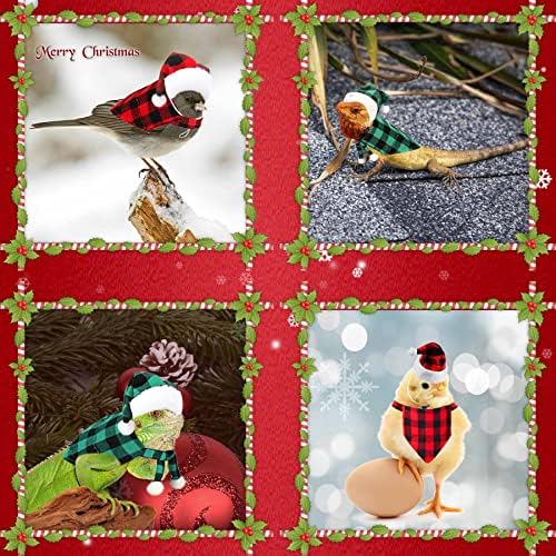 Jotfa 4 парчиња Божиќни брадести носии на змеј, гуштер Божиќни капи бандани мали миленичиња Божиќна костум за брада змеј гуштер пилиња папагал
