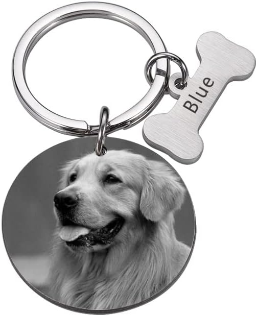 Врежано кучиња за домашно милениче ИД ознака Персонализирана слика за слика на коски за миленичиња
