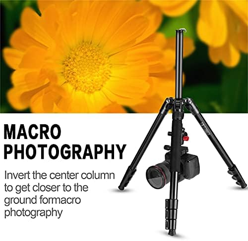 Mactrem Професионална Камера Статив Со Телефон Монтирање, 62 DSLR Статив За Патување, Супер Лесен И Сигурен Стабилност, Топката