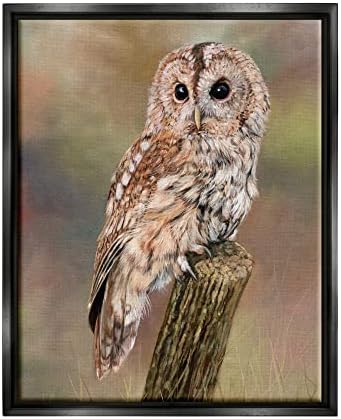 Sumbell Industries Brown Tawny Owl искривена сложена шумска слика за животински свет, кој лебдеше врамена wallидна уметност, дизајн од Дејвид