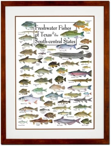 Земјиште небо + вода - слатководни риби од Тексас и Југ - Постери