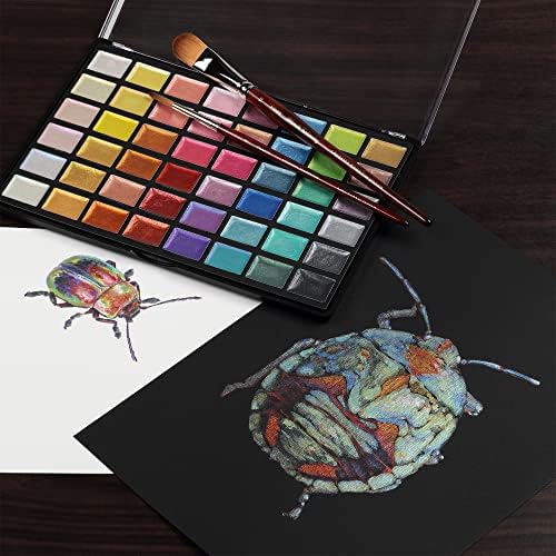 Сохо Урбан уметник Металик акварел во боја на 48 полу-моистички цели живописни живописни сјајни сјајни бои, работи на црна хартија