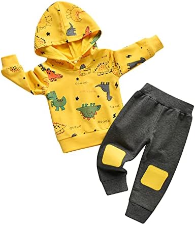 Облека за новороденчиња бебе момче диносаурус печати качулки врвови + панталони облеки од потта
