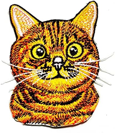 Кленплус 3 парчиња. Шкотски пати Портокалова мачка Лепенка Цртан Филм Деца Деца Железо На Лепенка Везена Апликација Шие На Лепенка За Облека Фармерки