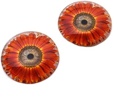 Црвено есенско сончогледово стакло око кабохони за приврзоци што прават жица завиткани накит занаетчиска таксидермија или скулптури
