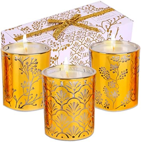 3 Подарок за подароци за свеќи од 3 пакет | Јагода магдонос, Персиммон, еукалиптус и белгамот свеќи, миризливи свеќи од ароматерапија, голема