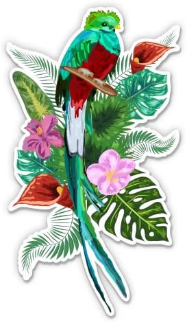 Кетзал тропски цвеќиња прилично Костарика - 3 Винил налепница - За телефон со шише со вода за лаптоп - водоотпорна декларација